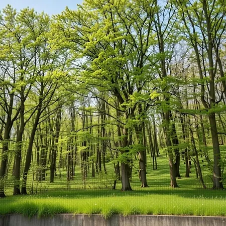 Hambachtal Family Escape For 4 Guests Apartment Oberhambach