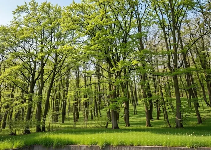 Hambachtal Family Escape For 4 Guests Apartamento Oberhambach